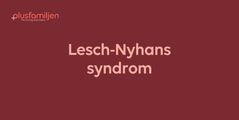 Lesch-Nyhans syndrom