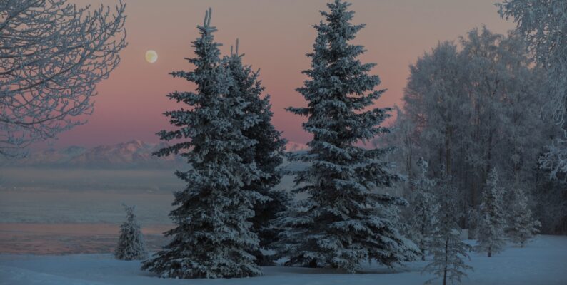 Plusfamiljens verksamhetschef summerar 2025
